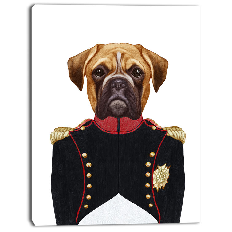 boxer dog dressed up