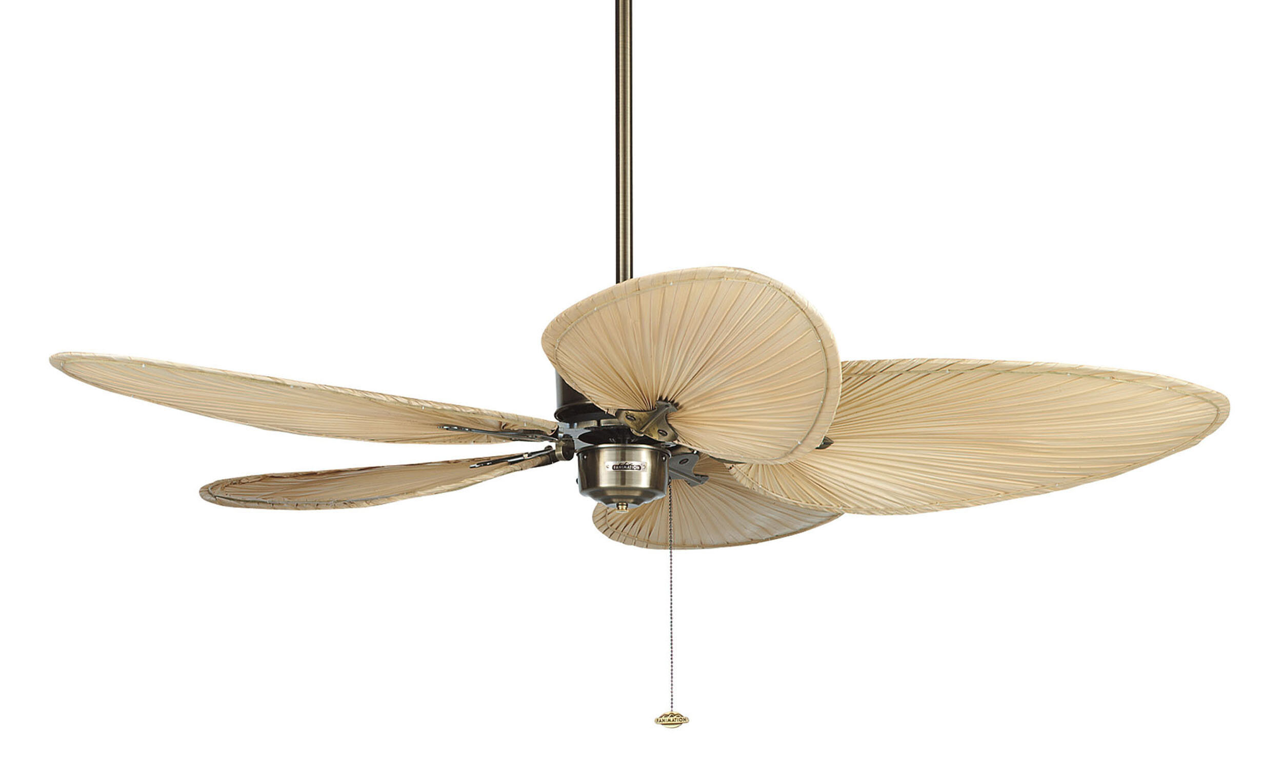 Islander Ceiling Fan