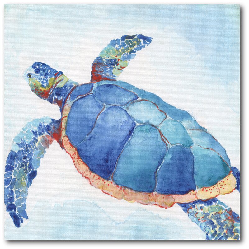Galapagos Sea Turtle II - Wrapped Canvas Painting