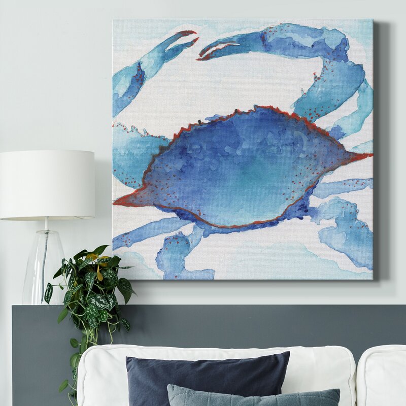 Galapagos Crab - Wrapped Canvas Print