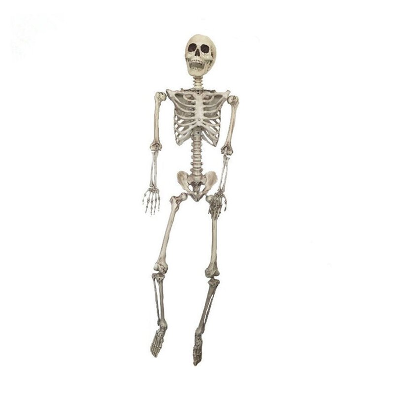 Halloween Poseable Human Skeleton Props Party Decor