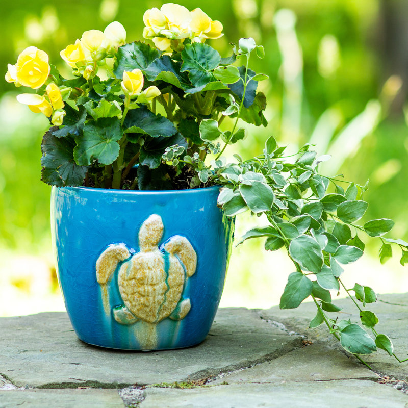 Elizabella Seaturtle Stoneware Pot Planter