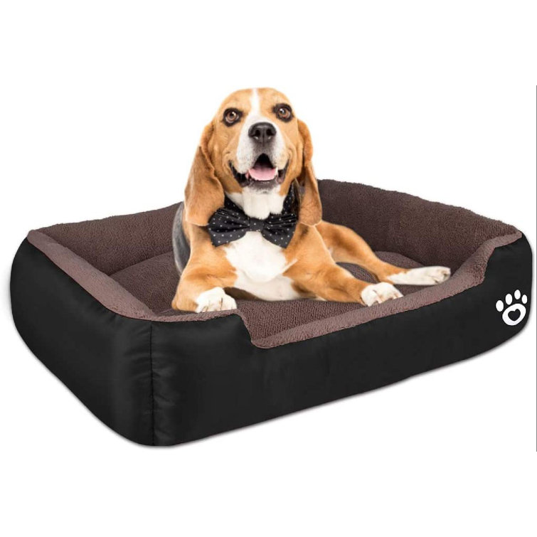 wayfair large dog beds