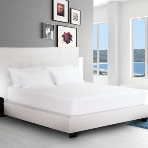 Hypoallergenic Waterproof Mattress Protector by Alwyn Home