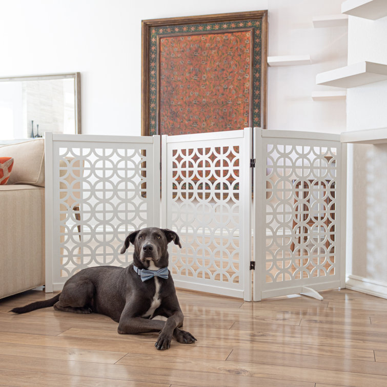 dog gates wayfair