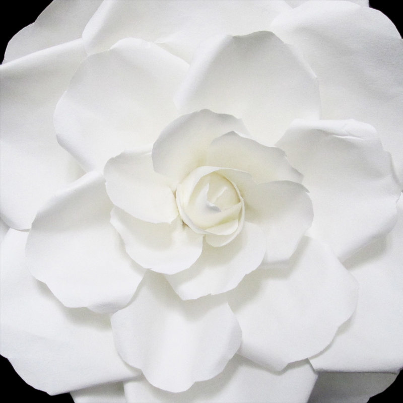 The Holiday Aisle Rose Gardenia Paper Flower Wall Decor Reviews