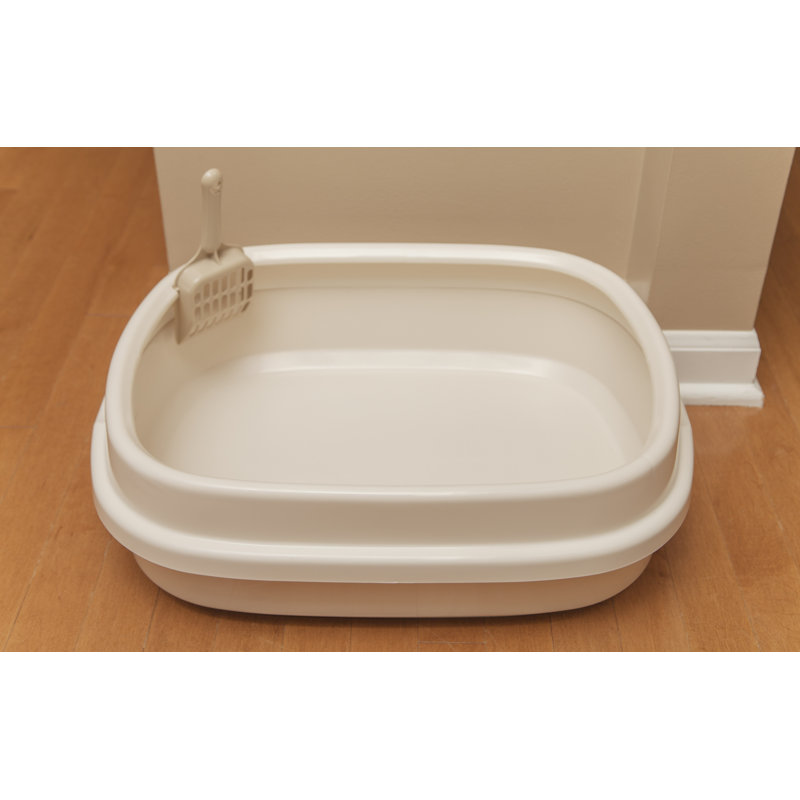 Tucker Murphy Pet Raul Open Top Cat Litter Box With Scoop Reviews Wayfair