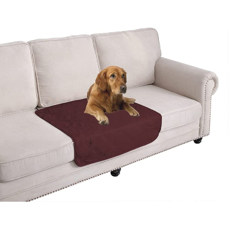 couch cover dog bed