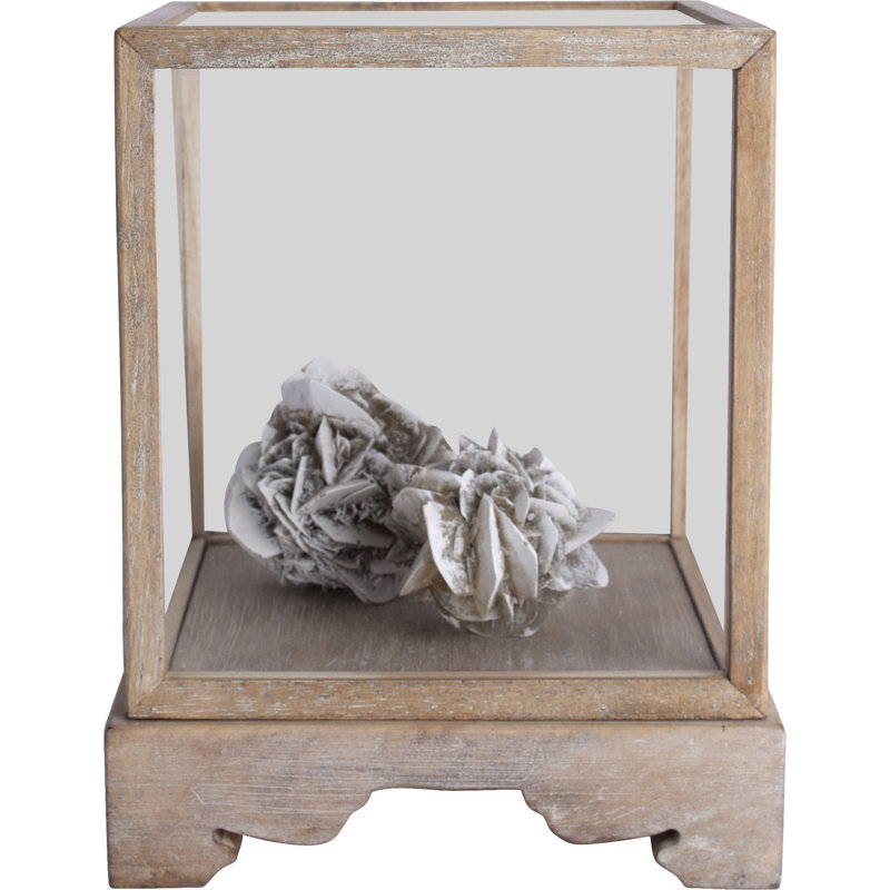 Bliss Studio Teylers Vitrine Iii Decorative Box Perigold Get the best deal for glass décor decorative boxes from the largest online selection at ebay.com. perigold
