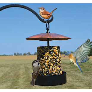 Artline Prairie Style Hopper Bird Feeder Wayfair