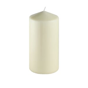 Pressed and Over-Dipped Unscented Pillar Candle (Set of 12)