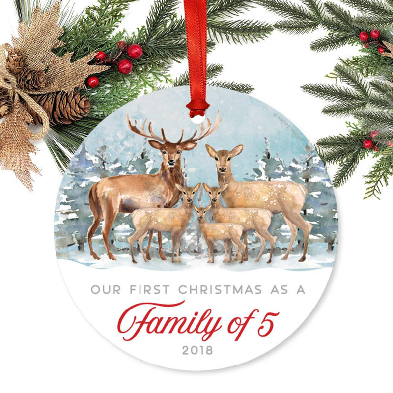 our first christmas ornament 2018