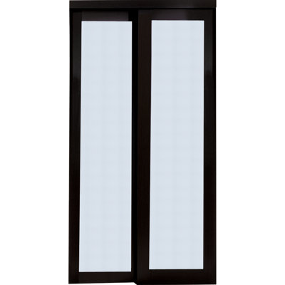 Erias Home Designs Baldarassario Glass Sliding Closet Door Finish