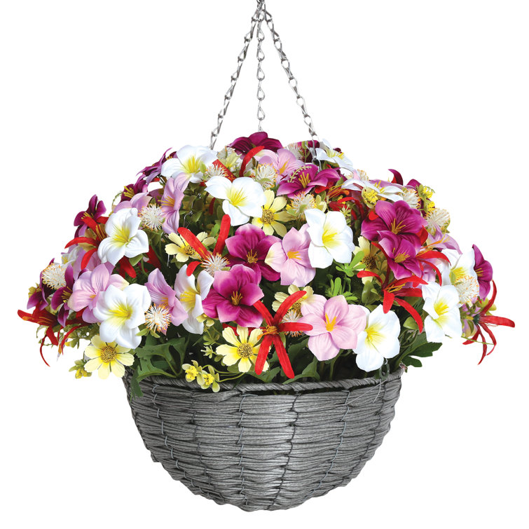 The Seasonal Aisle Narcissus Hanging Basket 