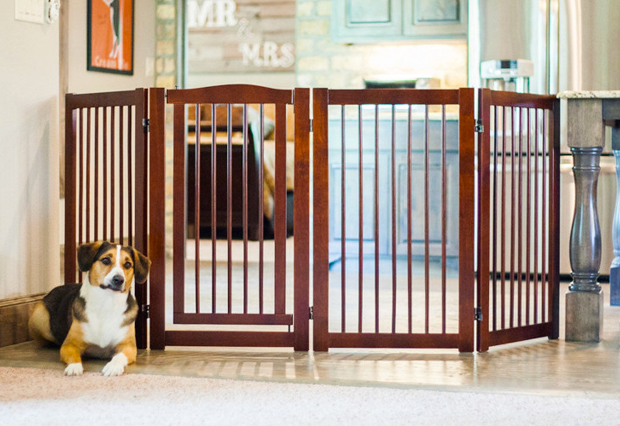 [BIG SALE] Pet Beds, Crates & Gates You’ll Love In 2023 Wayfair