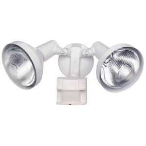 DualBrite Flood 2-Light Outdoor Spotlight