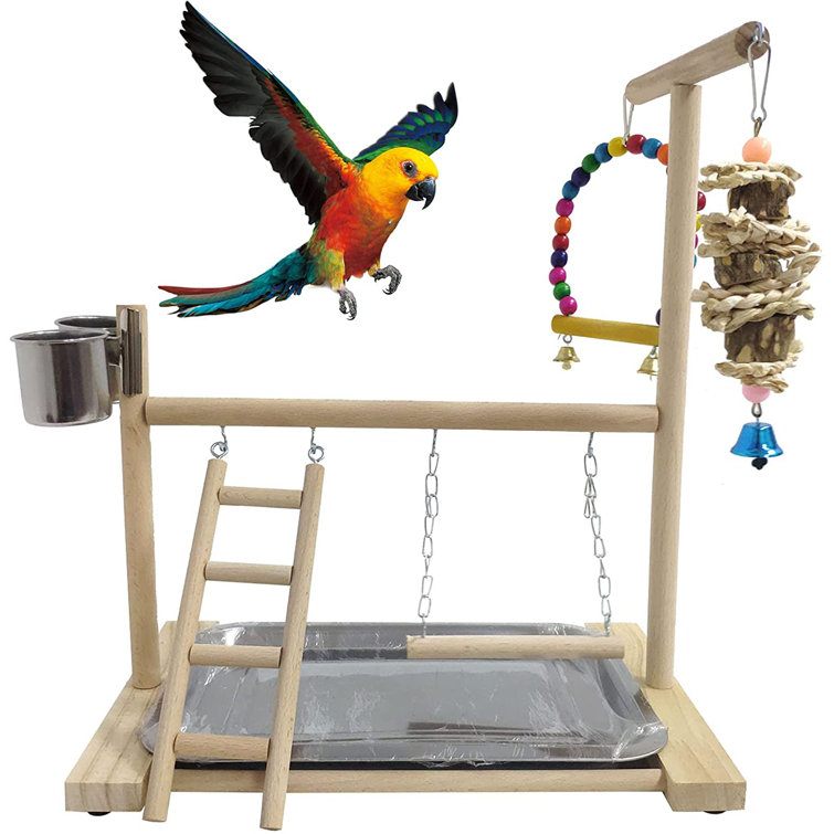 parrot stands play gyms