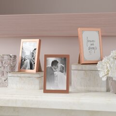 Download 11x17 Rose Gold Frame Wayfair