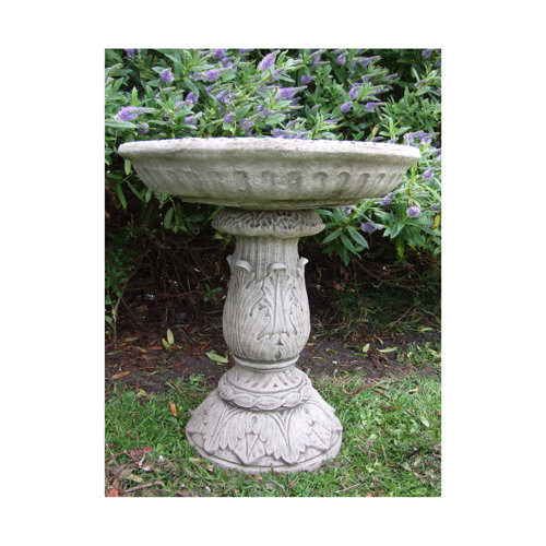 Rockledge Bird Bath Sol 72 Outdoor