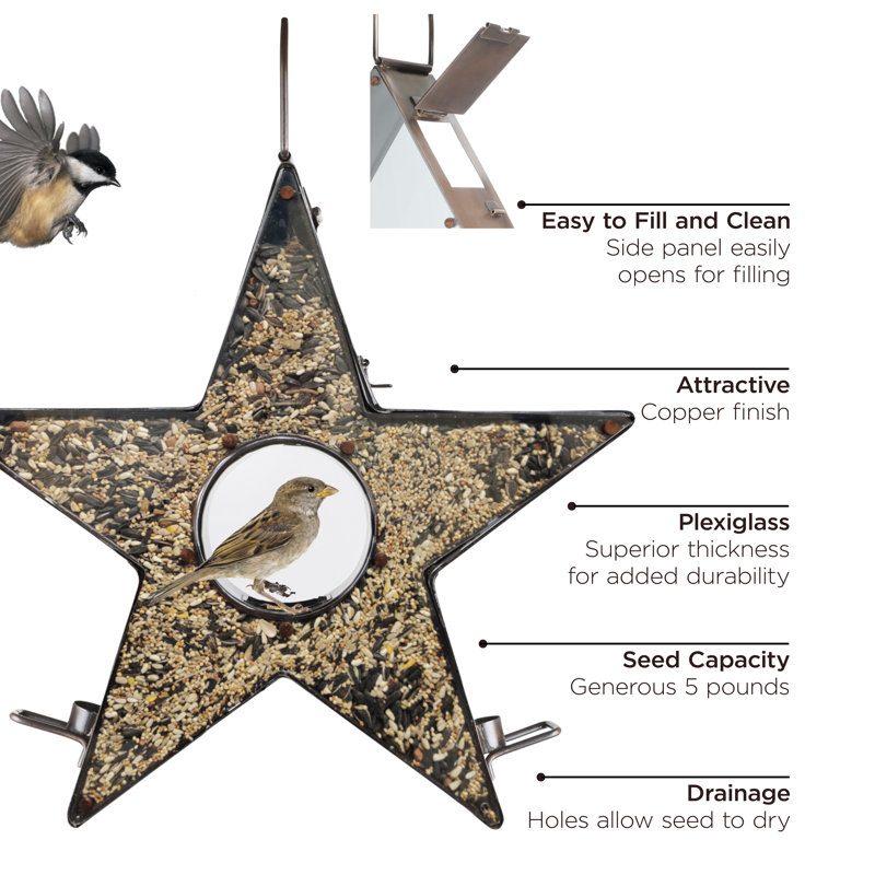 Good Directions Star Fly Through Decorative Bird Feeder Wayfair