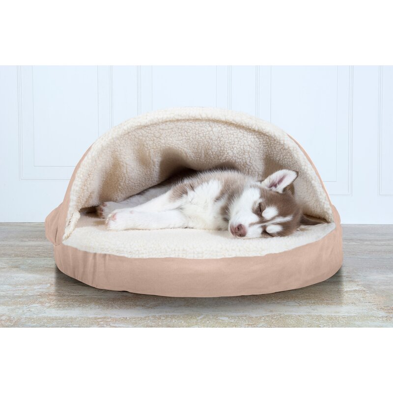 cute cheap dog beds