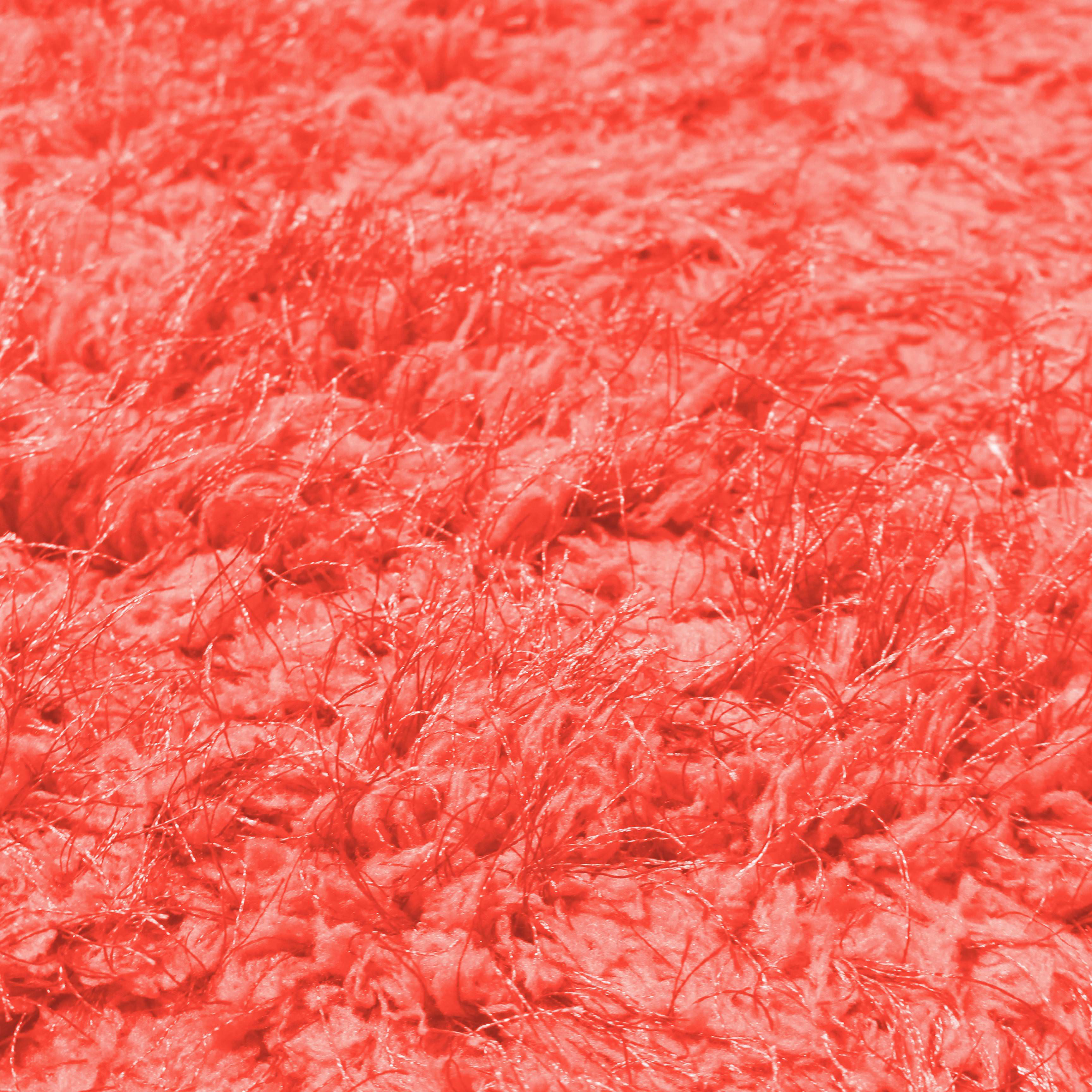 Ebern Designs Aaliyah Coral Rug Reviews Wayfair