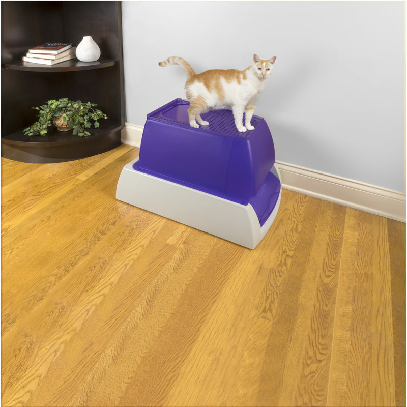 scoop free litter box scoop free litter box