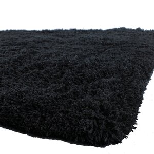 Brule Black Area Rug