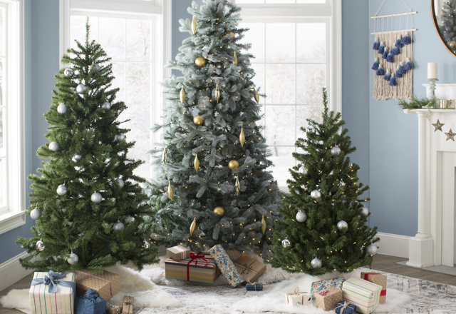 Budget-Friendly Christmas Trees