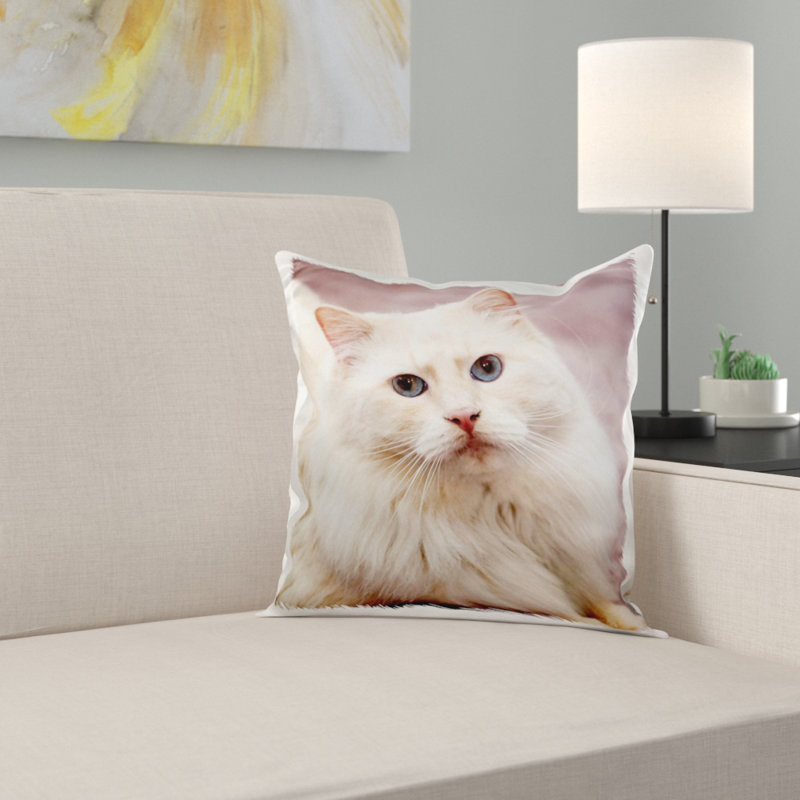 East Urban Home Purebred Rag Doll Cat Flame Point Pillow Cover
