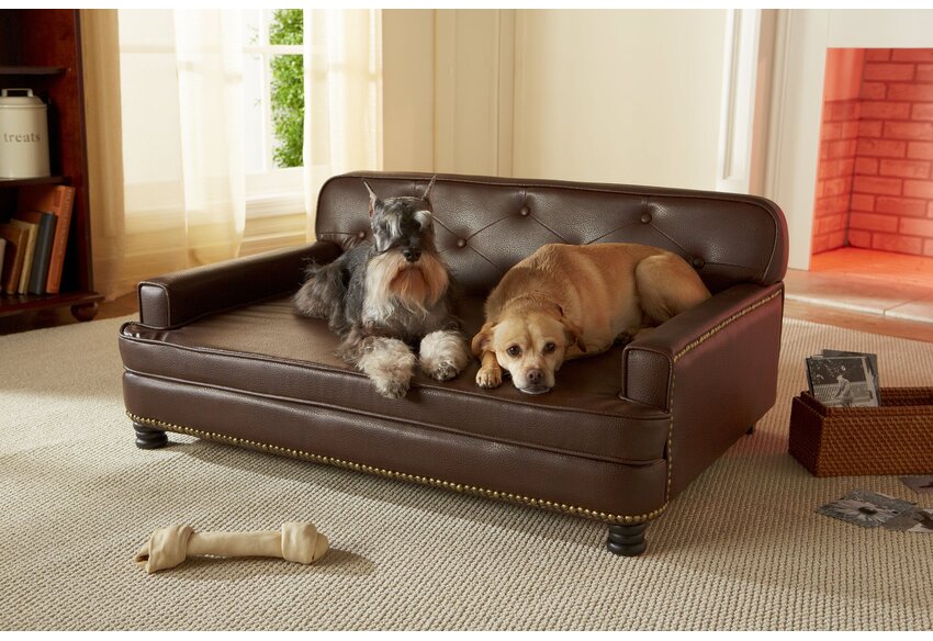 Dog Beds You'll Love in 2020 | Wayfair