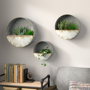 Wall Planters Vertical Gardens You Ll Love Wayfair Addison Succulent 3 Piece Steel Wall Planter Set