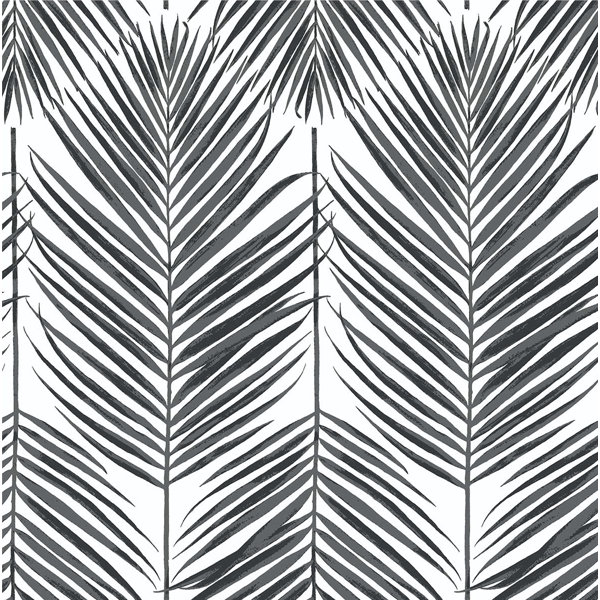 Black Palm Wallpaper Wayfair Design isolated on white background tropical plant leaflet foliage art exotic leafy tropic summer painting seamless pattern with palm leaf and white orchid flowers. black palm wallpaper