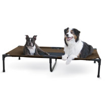 extra large dog cot bed