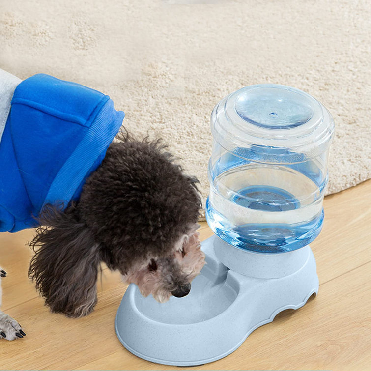 automatic pet feeder for large dogs