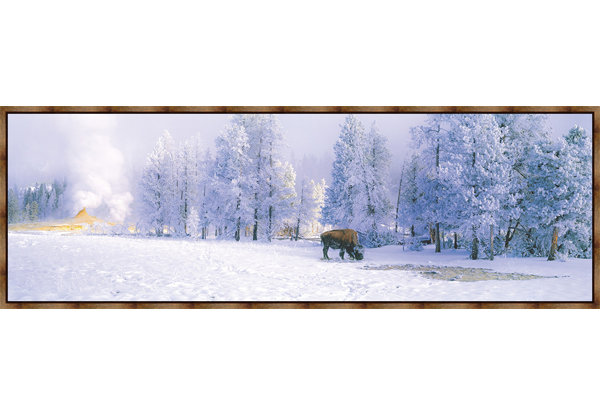 Millwood Pines Buffalo Blues Framed Acrylic Painting Print On