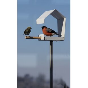 Review Futterstation Decorative Bird Feeder