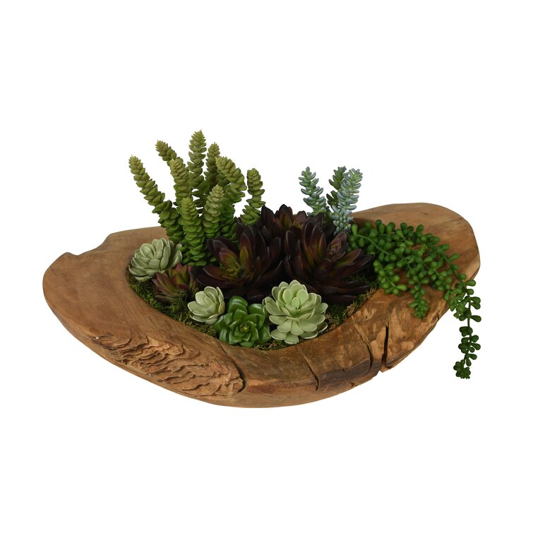 Foundry Select Calderon Pot Planter | Wayfair