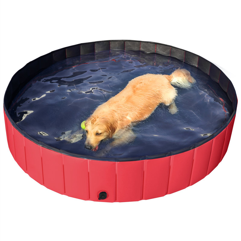 Yaheetech Pet Swimming Pool Pvc Bathtub For Dogs Cats Kids Reviews Wayfair