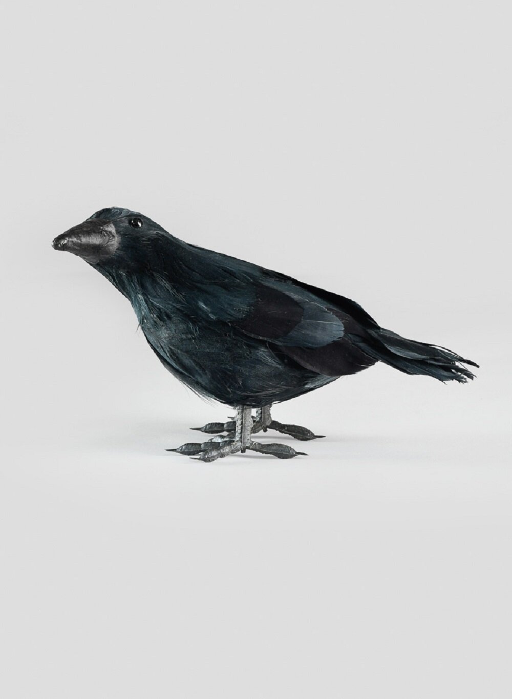 5" Black Crow One Small Bird Feathered Raven Spooky Prop Decoration Decor 