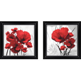 Pictures Of Poppies Wayfair