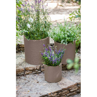 Williston Forge Niko Fiber Clay Pot Planter Reviews Wayfair
