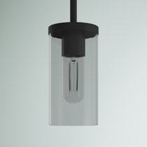 Extra long light pendant clearance