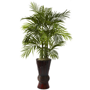 Areca Floor Plant in Decorative Vase