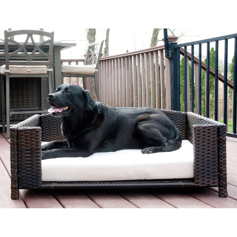rattan dog sofa