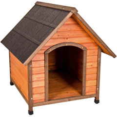 a big dog house