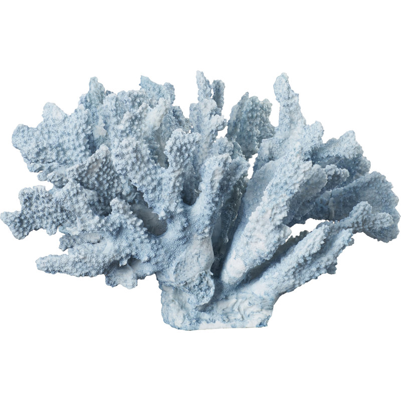 Coastal Coral Decorative Sculpture Reviews Joss Main