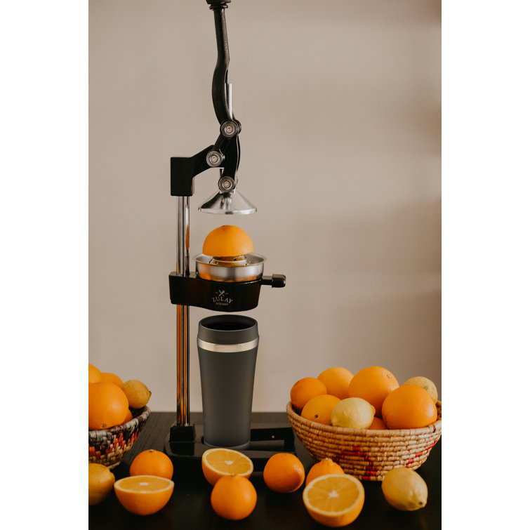 Zulay Kitchen Professional Citrus Juicer & Reviews Wayfair