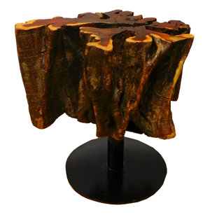 Penrod Tree Root End Table by Loon Peak Herry Up