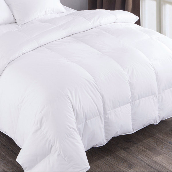 All Seasons Down Comforter & Reviews Birch Lane
